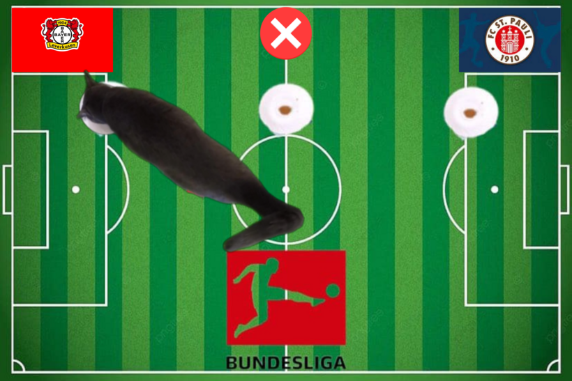 Dự đoán của chú mèo tiên tri trước trận Leverkusen vs St. Pauli