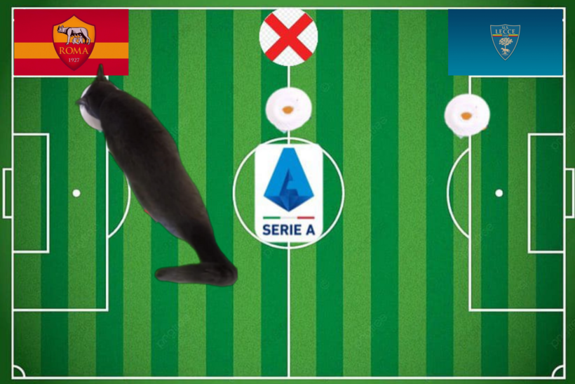 Mèo tiên tri dự đoán kết quả trận Roma vs Lecce