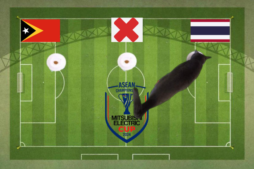 Mèo tiên tri dự đoán kết quả trận Timor Leste vs Thái Lan
