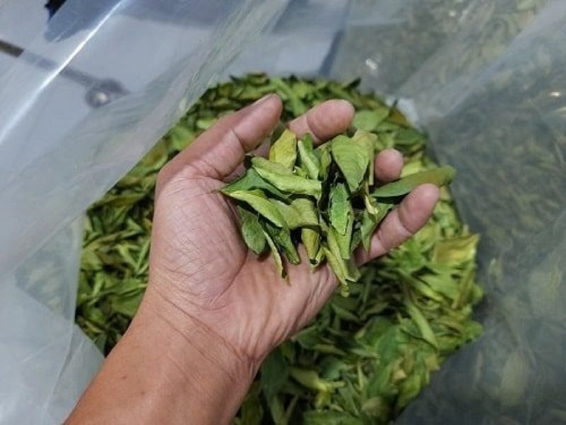 Lá chanh là một trong những loại lá có tác dụng bình gan, mát gan, thanh nhiệt, giải độc cơ thể.