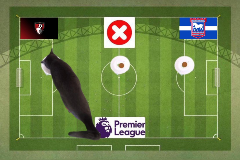 Mèo tiên tri dự đoán kết quả trận Ipswich vs Bournemouth