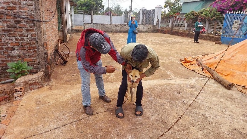 Bị chó nhà nuôi cắn, bé gái 4 tuổi tử vong, 10 người phơi nhiễm bệnh dại. Ảnh: Báo Gia Lai.