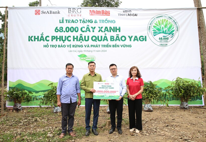 SeABank và Tập đoàn BRG chung tay trồng 68.000 cây phủ xanh gần 20ha rừng tại Lào Cai - 1