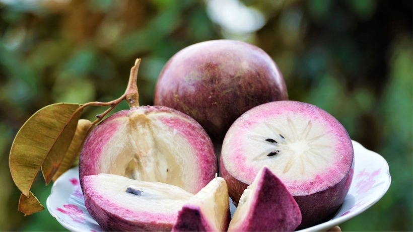 Vú sữa là loại trái cây nhiệt đới bổ dưỡng được nhiều người yêu thích.