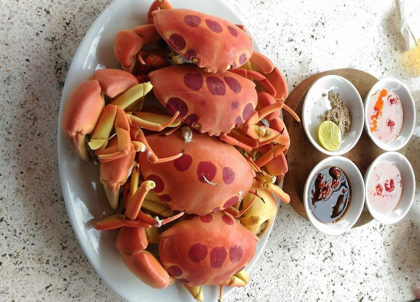 Gọi là cua mặt trăng bởi trên lưng của loài cua này có nhiều hình tròn màu đỏ đậm, pha với màu hồng tươi. Ảnh sưu tầm.