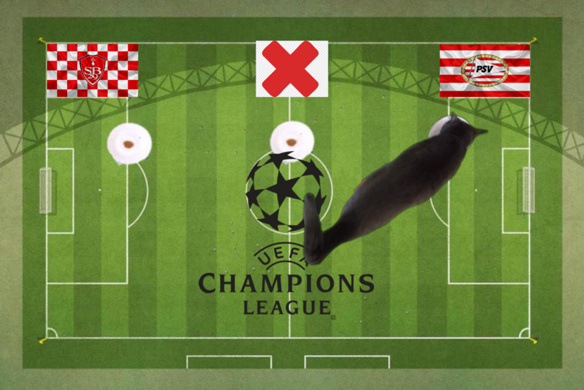 Mèo tiên tri dự đoán kết quả trận Brest vs PSV