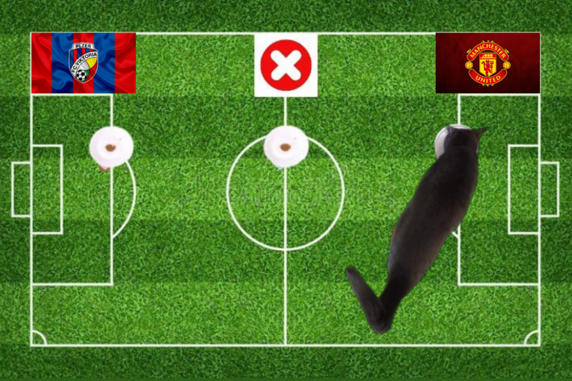Mèo tiên tri dự đoán kết quả trận Viktoria Plzen vs MU