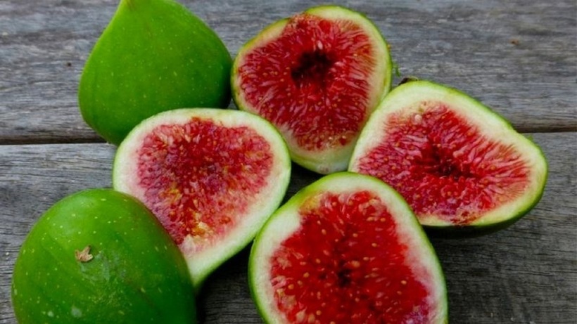 Quả sung, loại trái cây ngọt ngào với hình dáng độc đáo, từ lâu đã được biết đến không chỉ bởi hương vị thơm ngon mà còn bởi những lợi ích tuyệt vời cho sức khỏe.