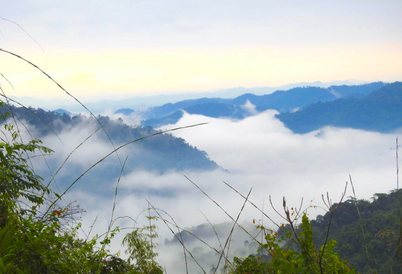 nơi đây rất đa dạng sinh học với hàng nghìn loài thực vật và động vật.