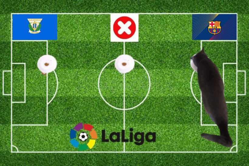 Mèo tiên tri dự đoán kết quả trận Barca vs Leganes