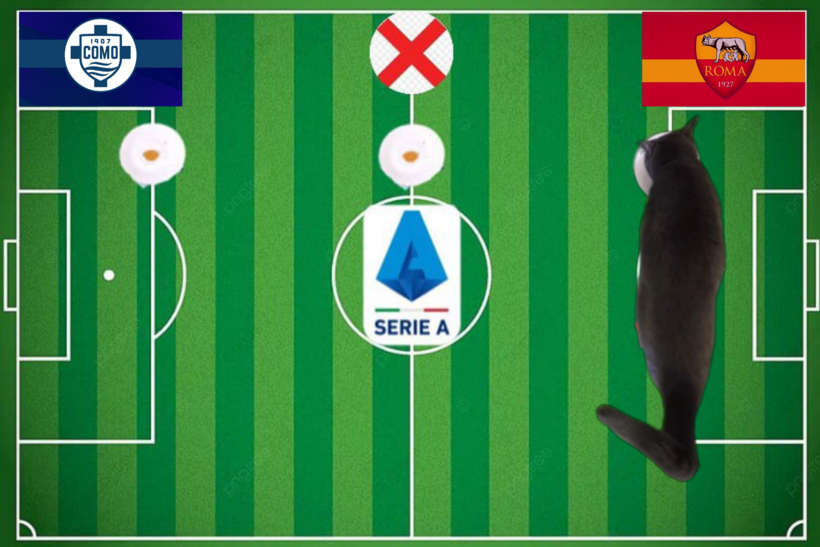 Mèo tiên tri dự đoán kết quả trận Como vs Roma