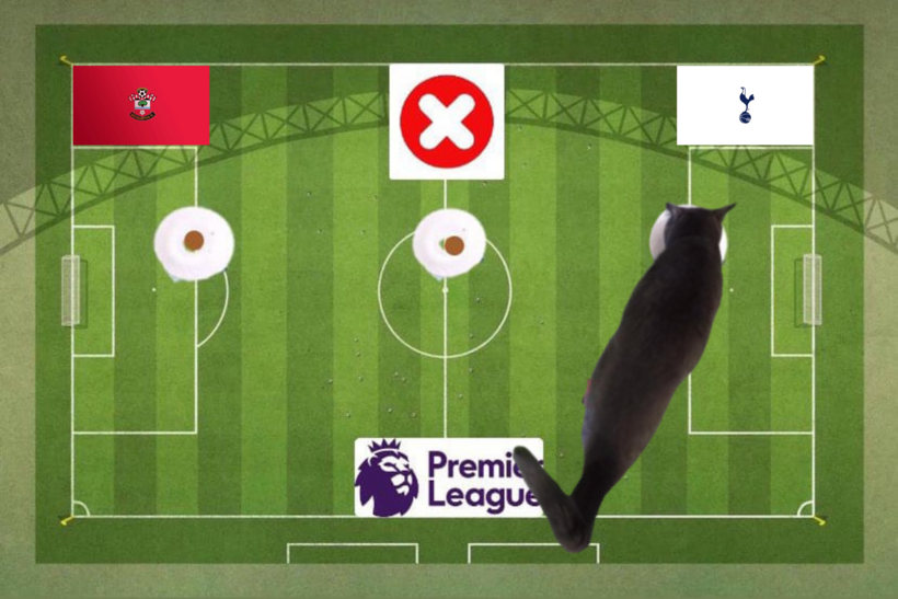 Mèo tiên tri dự đoán kết quả trận Southampton vs Tottenham