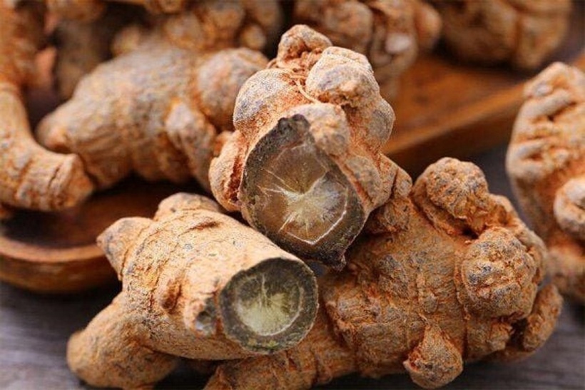 Tam thất được xem là vị thuốc bổ thận tráng dương, tăng cường sinh lực cho nam giới, hỗ trợ điều trị yếu sinh lý, di tinh, mộng tinh. Ảnh minh họa