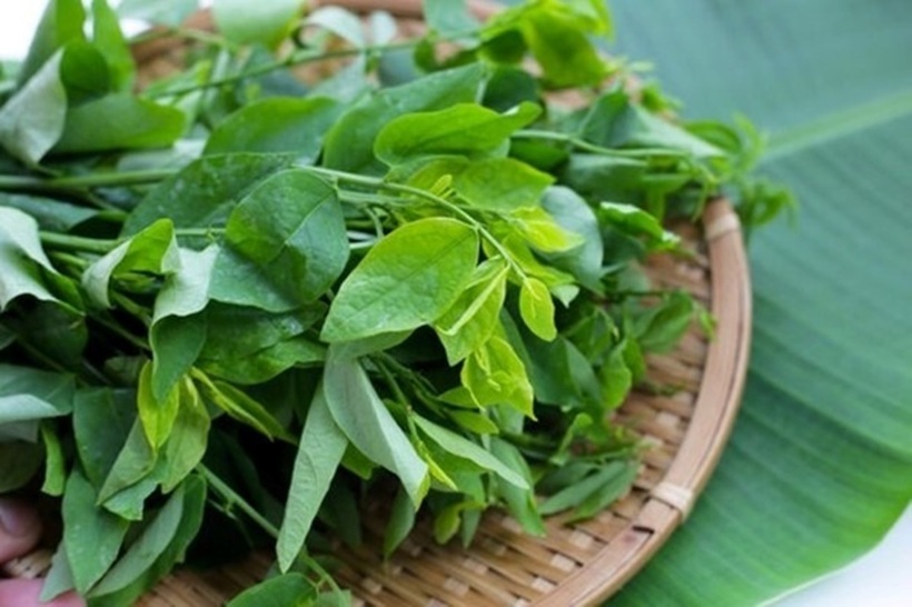 Rau ngót được ví như "thần dược xanh" với nhiều lợi ích sức khỏe tuyệt vời, đặc biệt là cho gan.