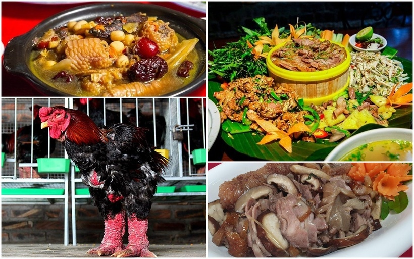 Từ gà Đông Tảo có thể làm thành nhiều món ngon, dành cho những người giàu có.