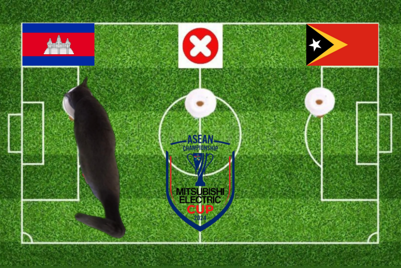 Mèo tiên tri dự đoán kết quả trận Campuchia vs Timor Leste