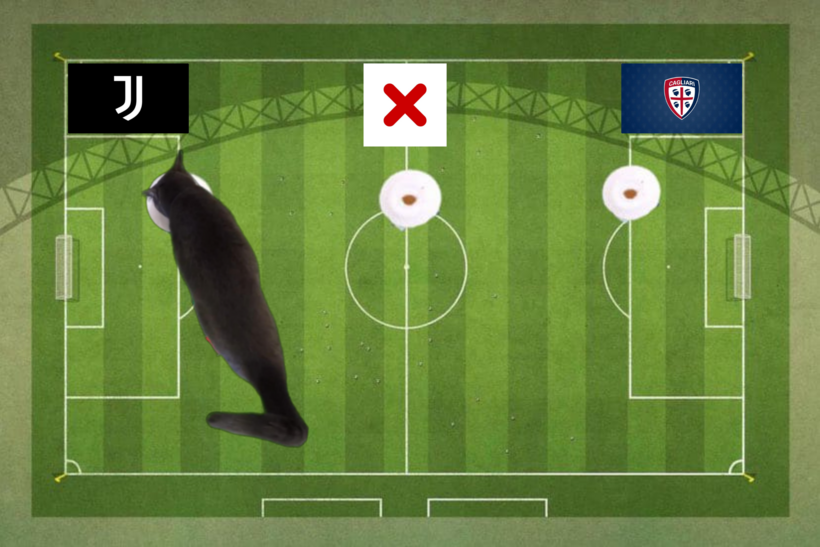 Dự đoán của chú mèo tiên tri trước trận Juventus vs Cagliari