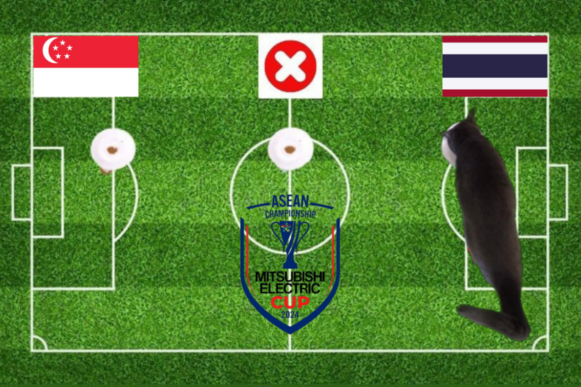 Mèo tiên tri dự đoán kết quả trận Singapore vs Thái Lan