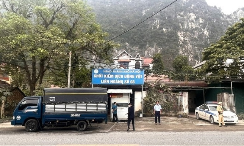 Công tác kiểm dịch, kiểm soát giết mổ, kiểm tra vệ sinh thú y, an toàn thực phẩm được chú trọng trong thời điểm cuối năm.