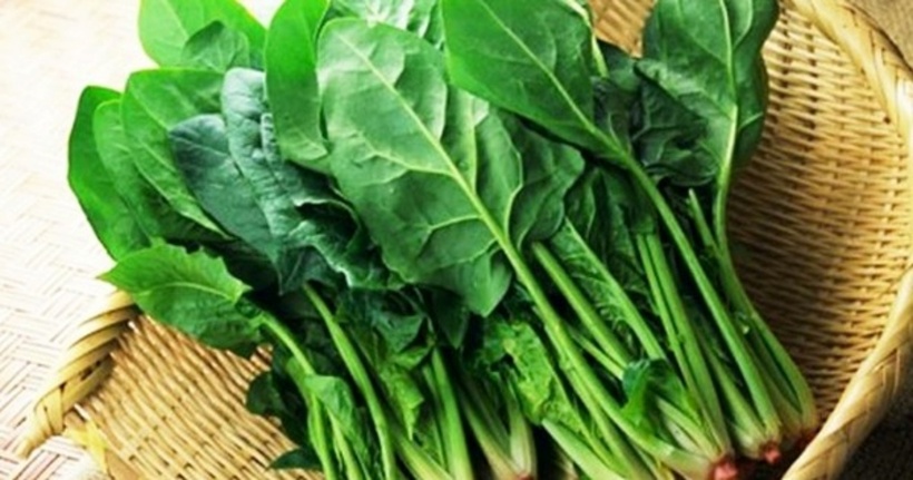 Rau cải bó xôi được xem như là một "siêu thực phẩm" nhờ có nguồn vitamin và khoáng chất tuyệt vời đối với sức khỏe.