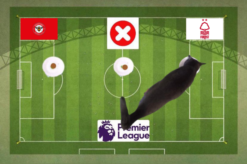 Dự đoán của chú mèo tiên tri trước trận Brentford vs Nottingham Forest