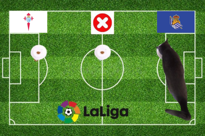 Mèo tiên tri dự đoán kết quả trận Celta Vigo vs Sociedad