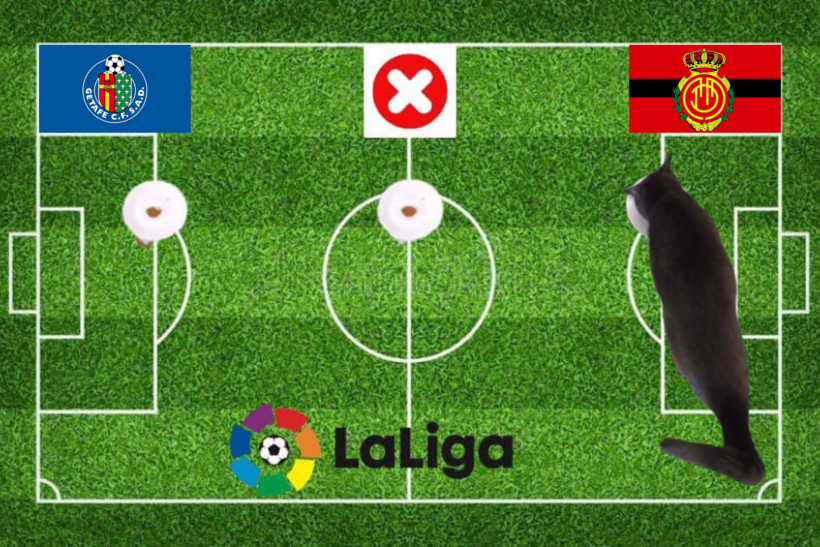 Mèo tiên tri dự đoán kết quả trận Getafe vs Mallorca