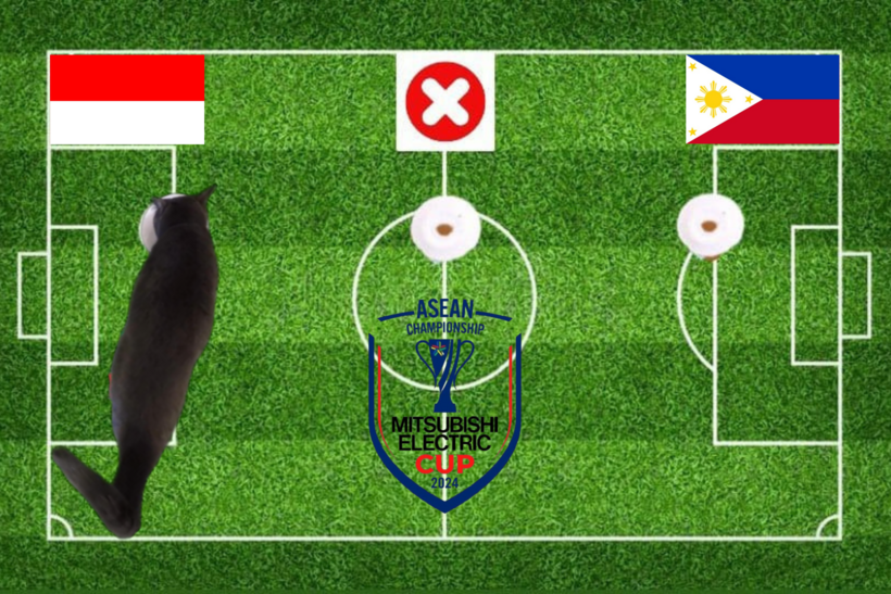 Mèo tiên tri dự đoán kết quả trận Indonesia vs Philippines