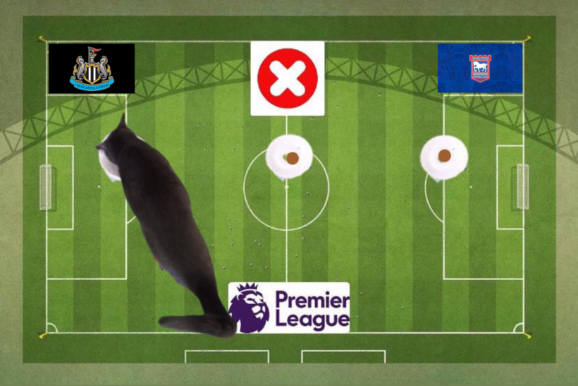 Mèo tiên tri dự đoán kết quả trận Ipswich vs Newcastle