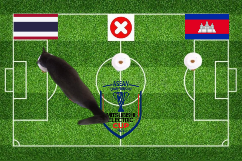 Dự đoán của chú mèo tiên tri trước trận Thái Lan vs Campuchia