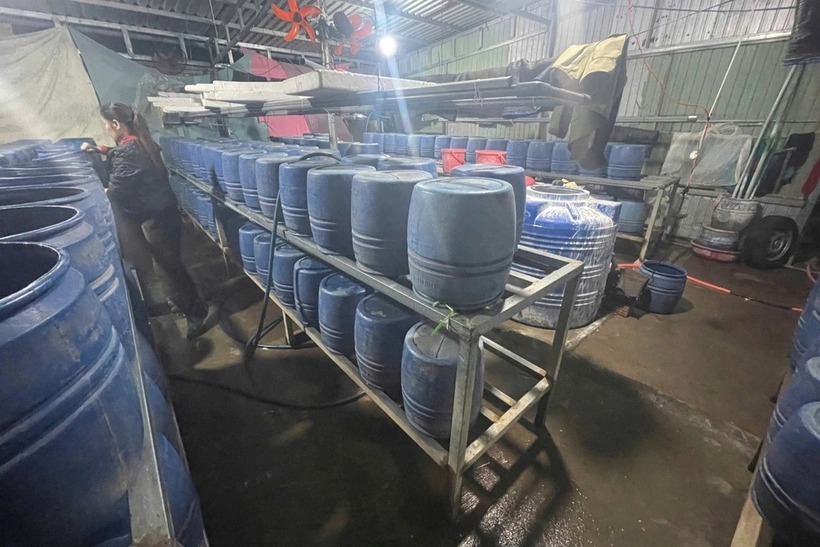 Bên trong cơ sở sản xuất giá đỗ bằng chất kích thích tăng trưởng ở TP Huế. Ảnh: Dân trí