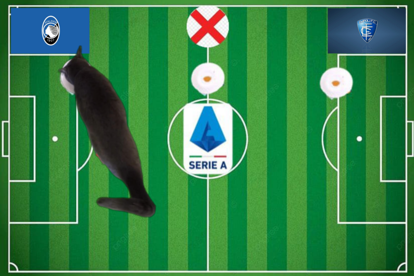 Mèo tiên tri dự đoán kết quả trận Atalanta vs Empoli