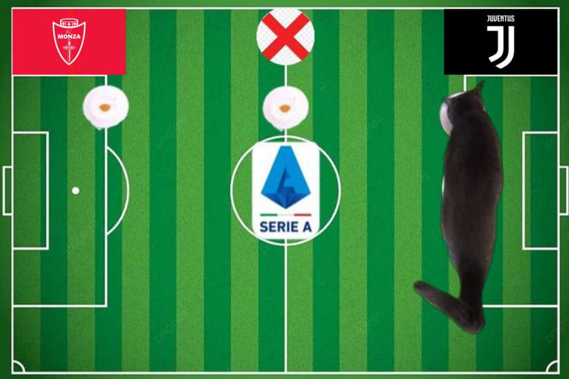 Mèo tiên tri dự đoán kết quả trận Monza vs Juventus