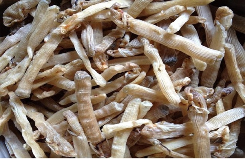 Là loại giàu dinh dưỡng nên sá sùng đang được nghiên cứu đưa vào thành phần của các loại thực phẩm chức năng dành cho người ung thư. Ảnh minh họa