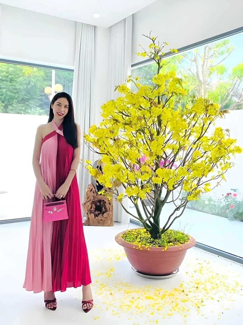 Cả Công Vinh và Thủy Tiên đều yêu thích sự tối giản, hạn chế bày biện đồ đạc hay phô trương nội thất đắt đỏ. Trước khi sửa nhà, cặp đôi đã theo đuổi phong cách này.