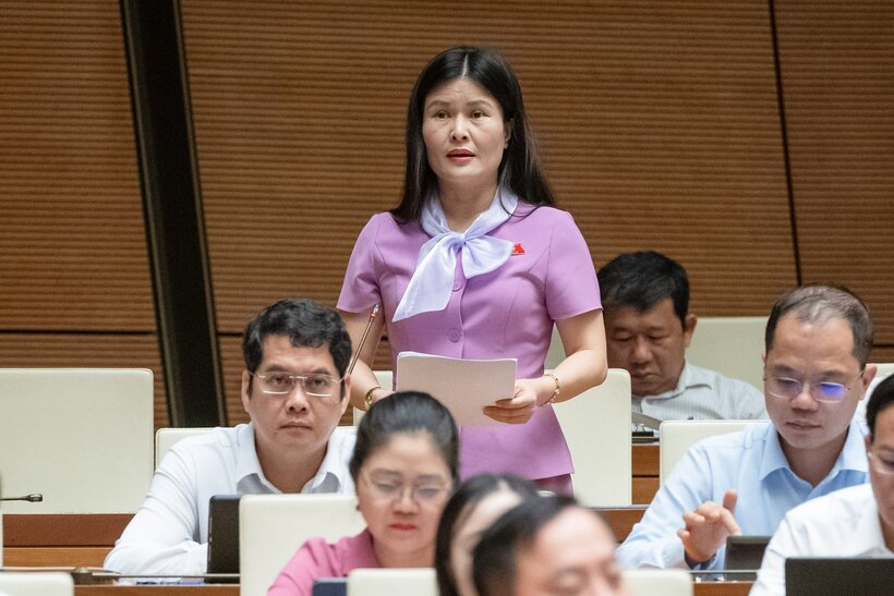 ĐBQH Bùi Thị Quỳnh Thơ nêu ý kiến.