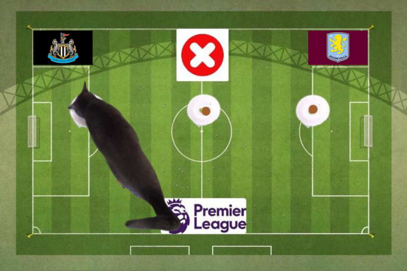 Mèo tiên tri dự đoán kết quả trận Newcastle vs Aston Villa