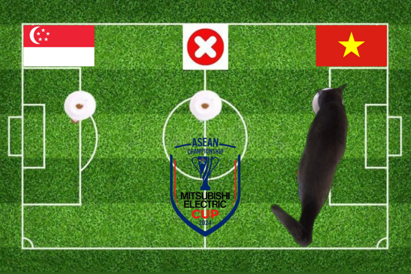 Mèo tiên tri dự đoán kết quả trận Singapore vs Việt Nam