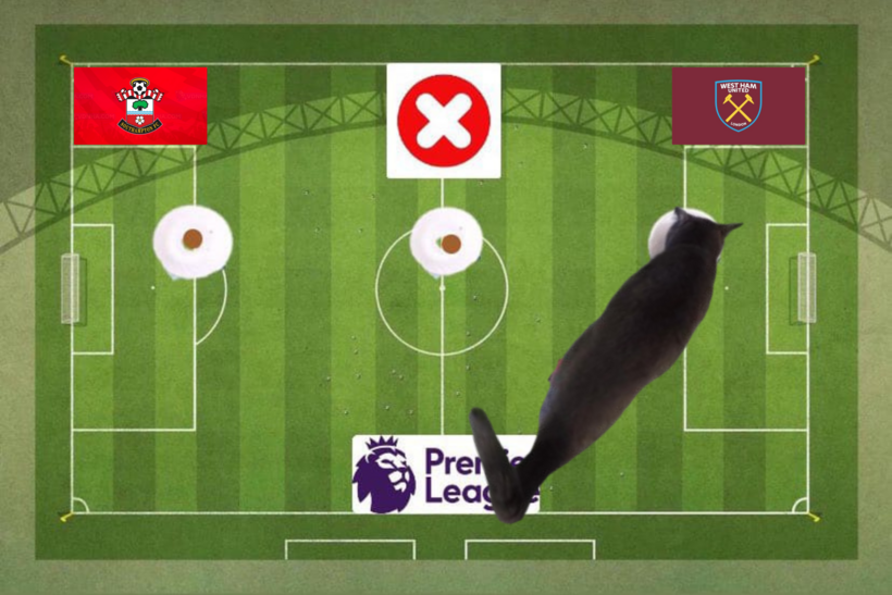 Mèo tiên tri dự đoán kết quả trận Southampton vs West Ham
