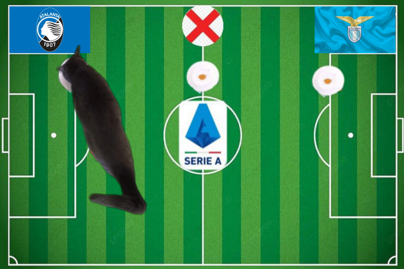 Dự đoán của chú mèo tiên tri trước trận Lazio vs Atalanta