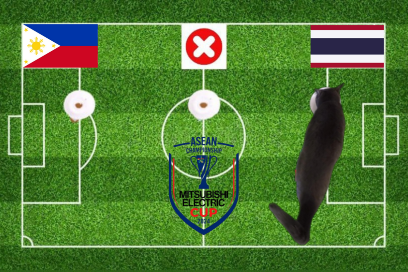 Mèo tiên tri dự đoán kết quả trận Philippines vs  Thái Lan