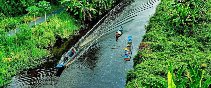 Rừng U Minh Hạ