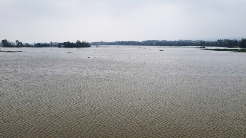 Hàng nghìn ha lúa vừa gieo sạ của người dân bị ngập sâu. Ảnh: Dân Trí