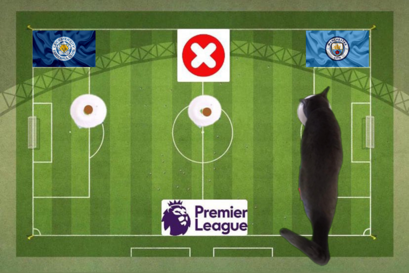 Mèo tiên tri dự đoán kết quả trận Leicester vs Man City