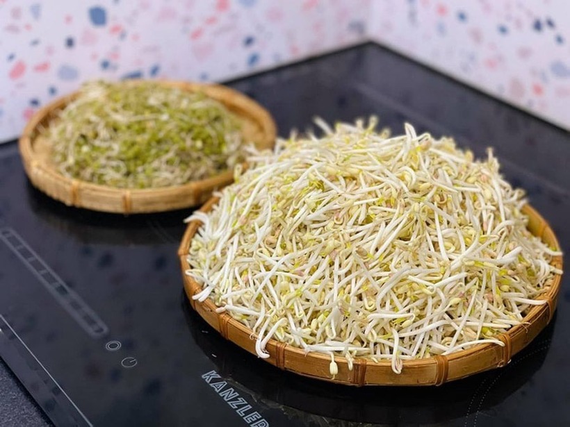 Giá đỗ là một loại thực phẩm bổ dưỡng, tuy nhiên cần lưu ý những điều "đại kỵ" khi ăn để tránh những ảnh hưởng không tốt đến sức khỏe.