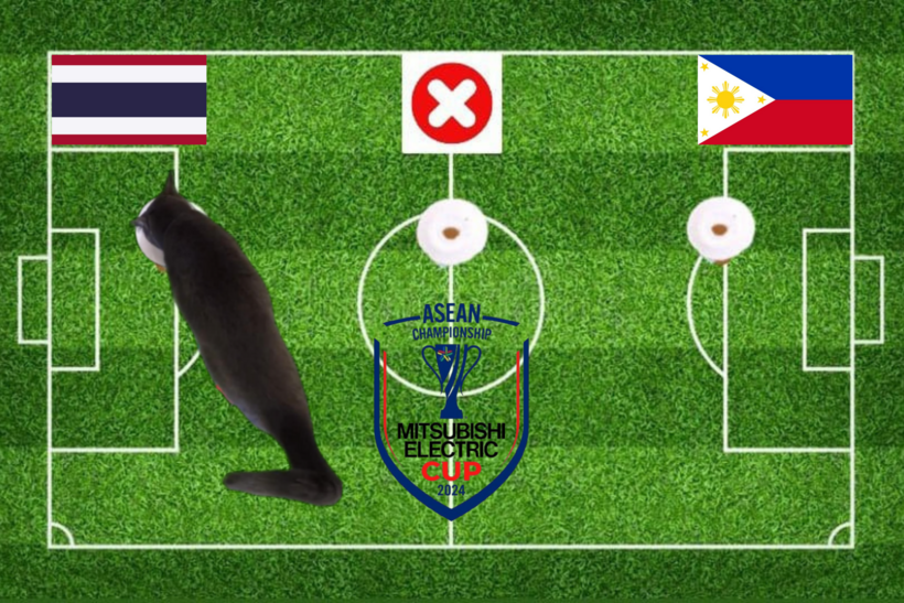 Dự đoán của mèo tiên tri trước trận Thái Lan vs Philippines