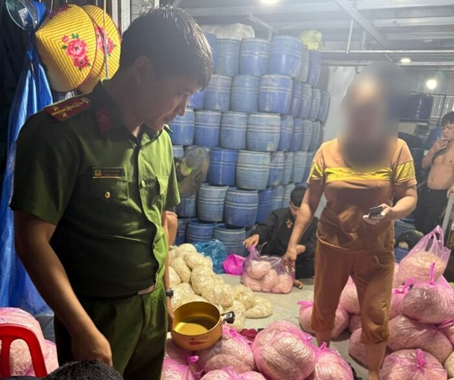 Công an TP Quảng Ngãi phát hiện cơ sở sản xuất giá đỗ do bà Đ.T.T. làm chủ, dùng hóa chất 6-Benzylaminopurine để pha vào nước ngâm giá. Ảnh: Lao Động.