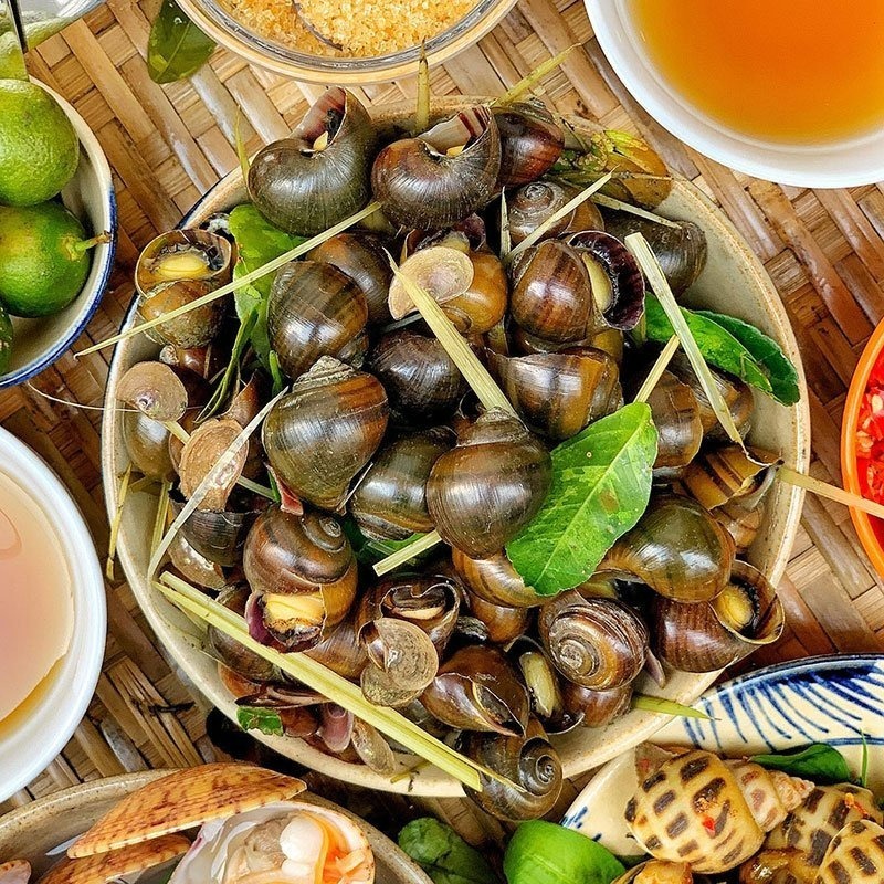 Người bị ho hay hen suyễn khi ăn các loại hải sản như ốc sẽ khiến tình trạng của bệnh ngày càng nặng hơn.