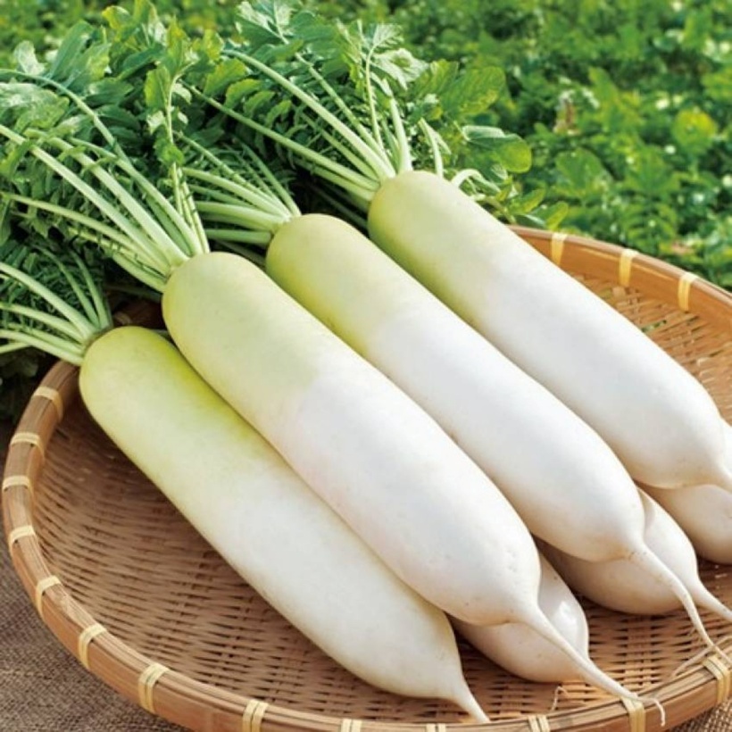 Chứa nhiều chất xơ và chất chống oxy hóa, củ cải đường mang lại nhiều lợi ích cho sức khỏe toàn diện của cơ thể. Loại củ này còn chứa các chất dinh dưỡng thực vật quan trọng giúp giảm viêm, trung hòa các gốc tự do với tác dụng chống oxy hóa, hỗ trợ sức khỏe tim mạch và đường ruột.