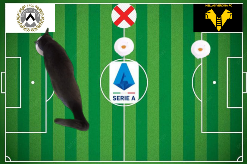 Mèo tiên tri dự đoán kết quả trận Hellas Verona vs Udinese